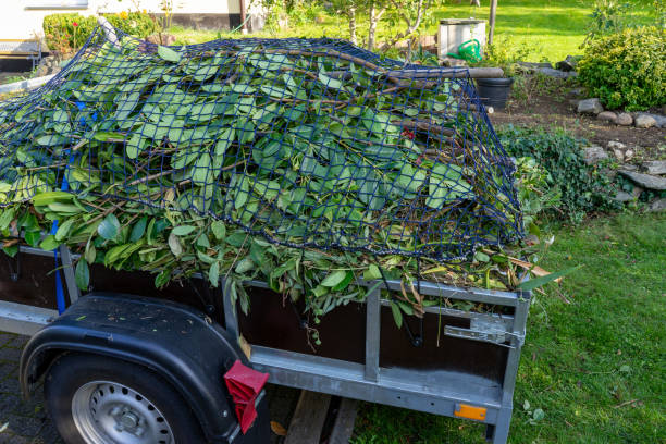 Best Hoarding Cleanup  in Holiday Shores, IL